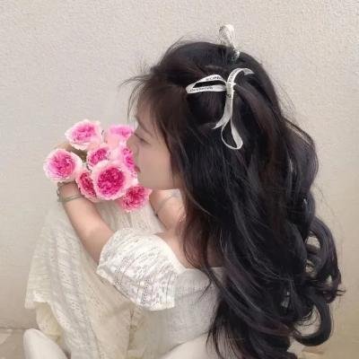 奥儒克王妃